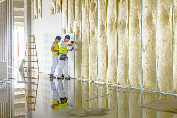 Best Insulation for Specific Applications in Ewa Villages, HI